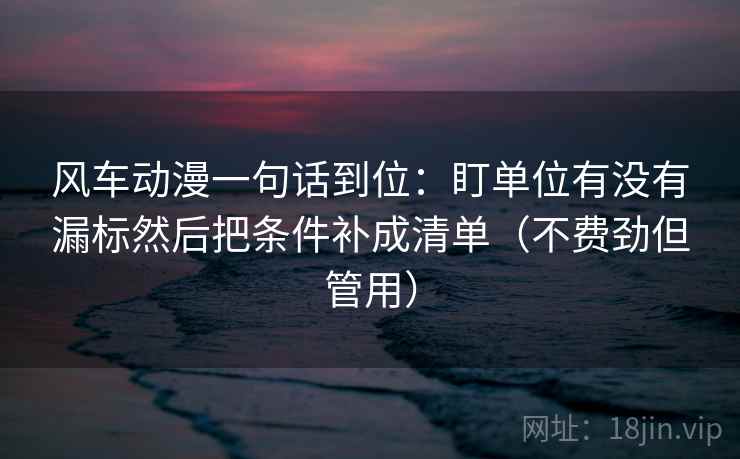 风车动漫一句话到位：盯单位有没有漏标然后把条件补成清单（不费劲但管用）